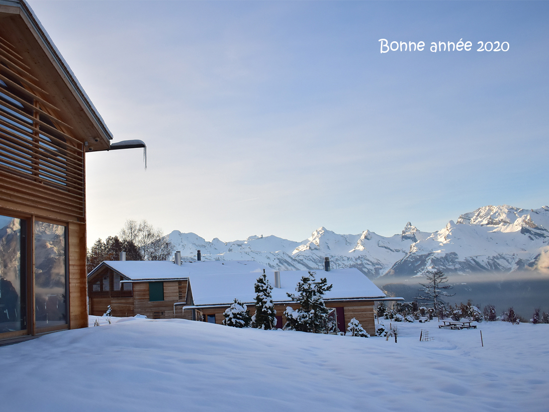 Bonne année 2020